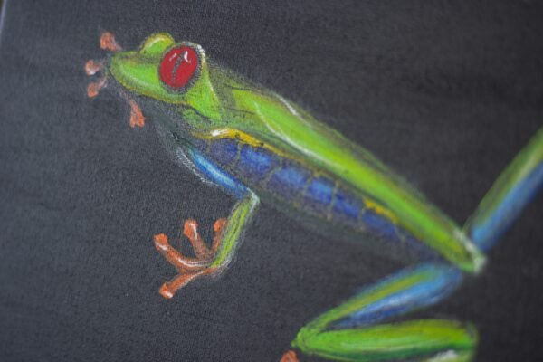 Tree Frog 12” x 16” - Image 2