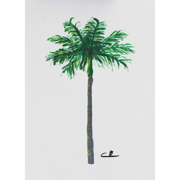 Palm Tree - Image 2