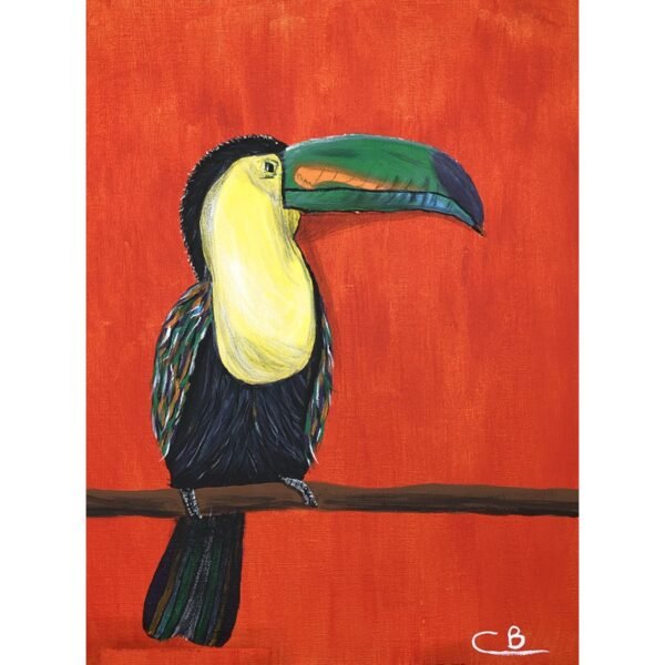 Toucan - Image 2