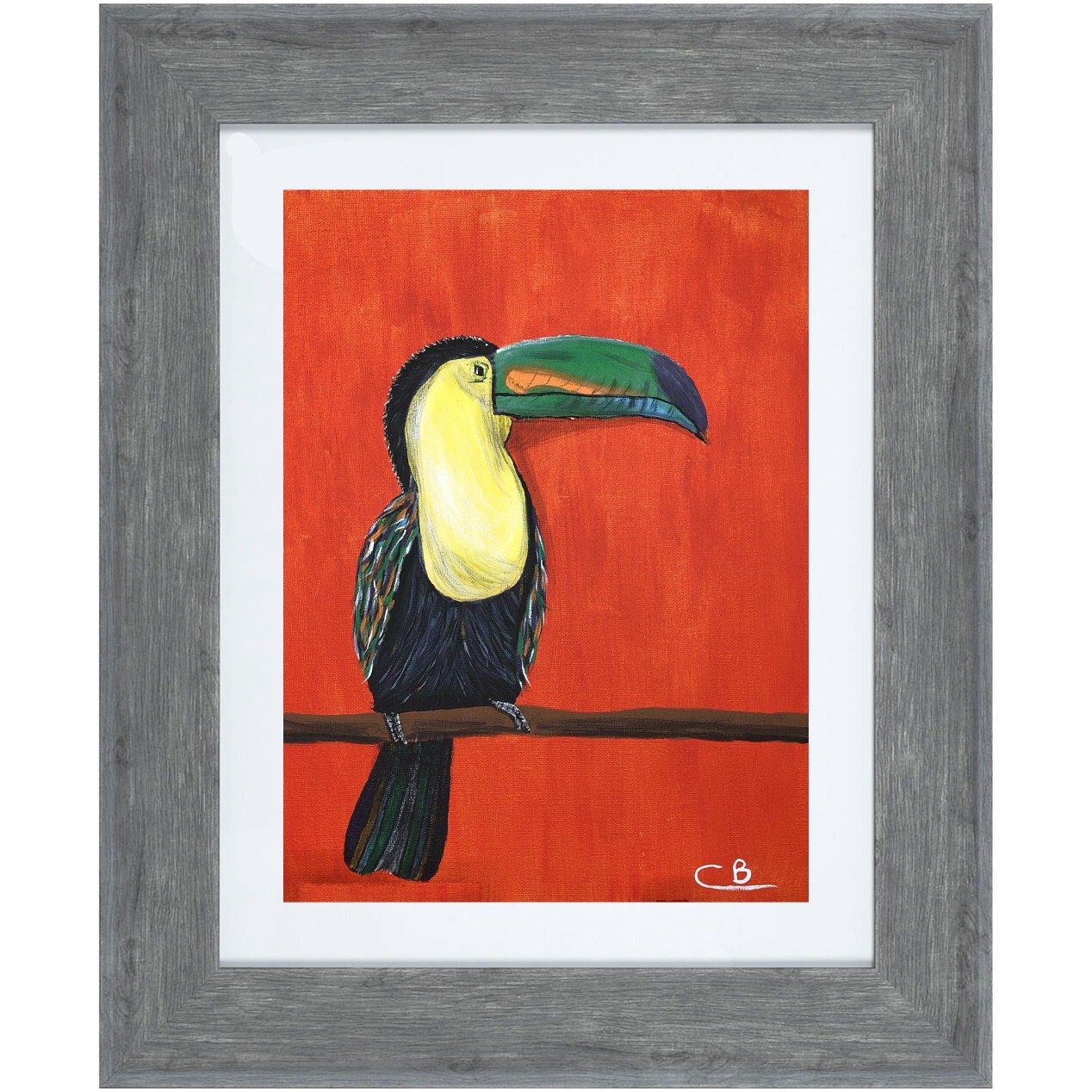 Toucan