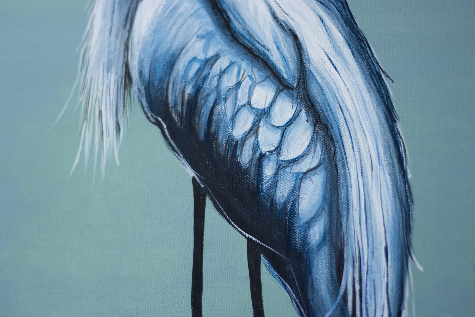 White Heron