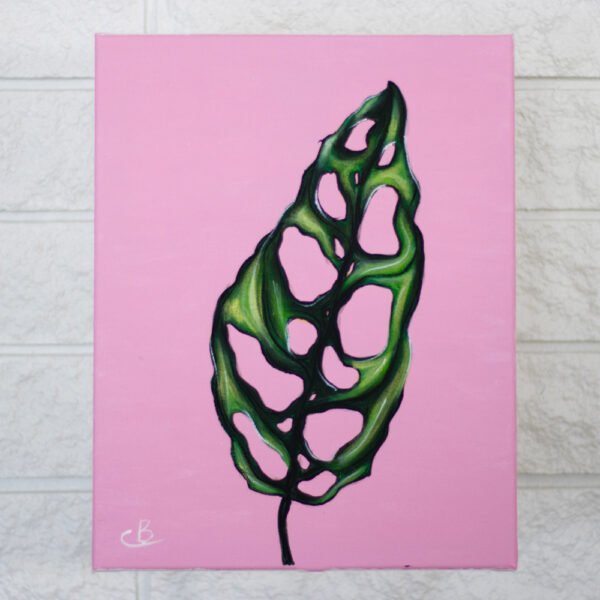 The Monstera 11" x 14"