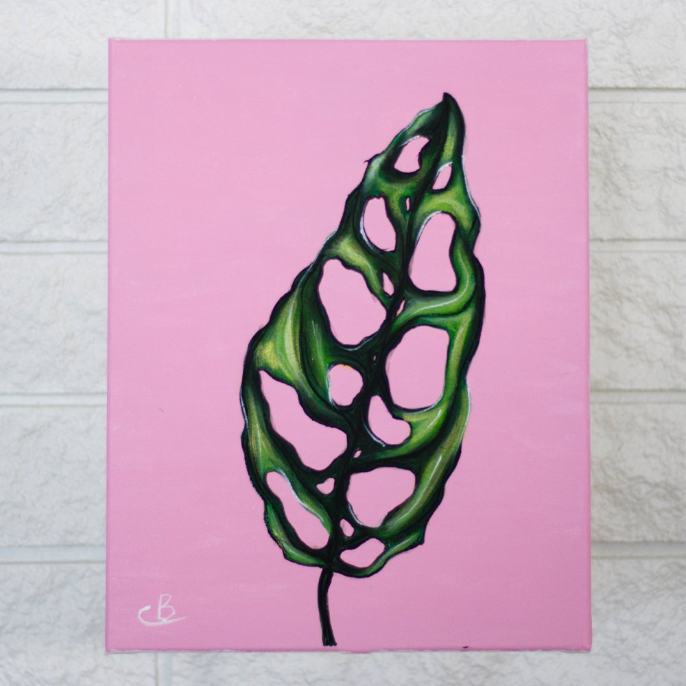 Monstera