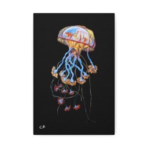 Jellyfish 3.0 Canvas