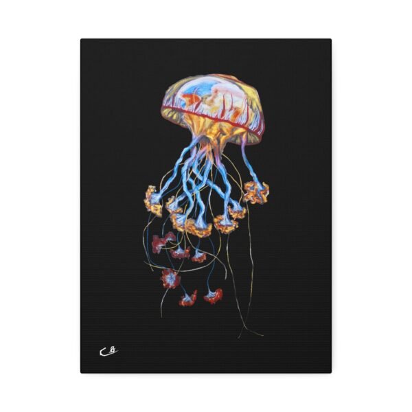 Jellyfish 3.0 Canvas - Image 5
