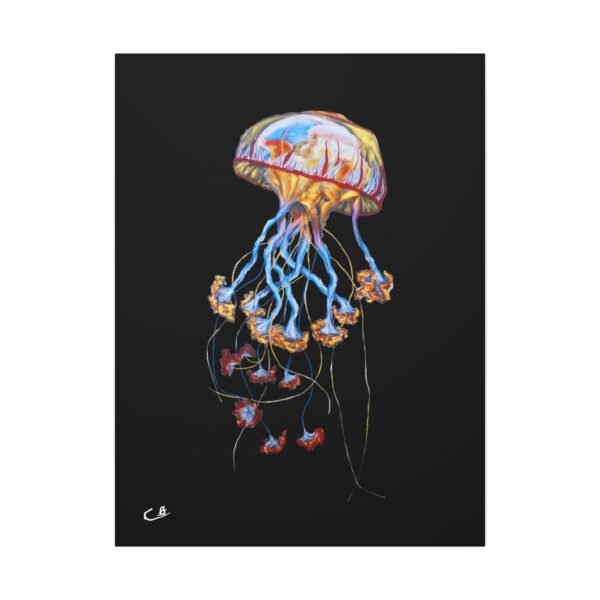 Jellyfish 3.0 Canvas - Image 17